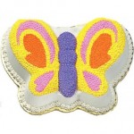 Butterfly Cake 